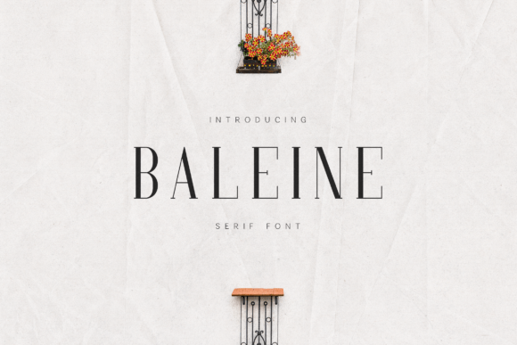 Baleine: A Refined Serif Font for Handmade Brands