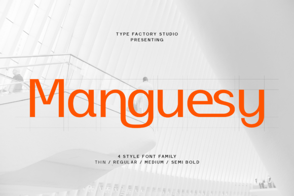 Manguesy: A Designer’s Real-World Take
