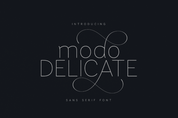 Modo Delicate: A Refined Sans Serif for Thoughtful Digital Branding