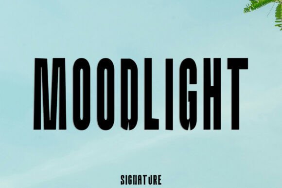 Moodlight: A Modern Sans Serif Font That Elevates Real Small Business Branding