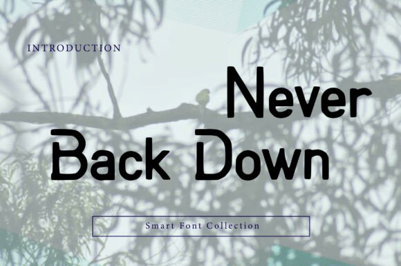 Never Back Down: A Display Font That Holds Its Ground